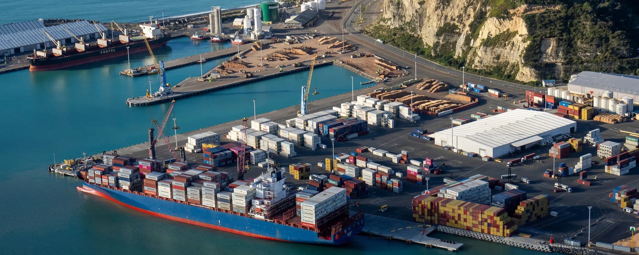 Inside Napier Port: A Guided Tour and Learning Lunch