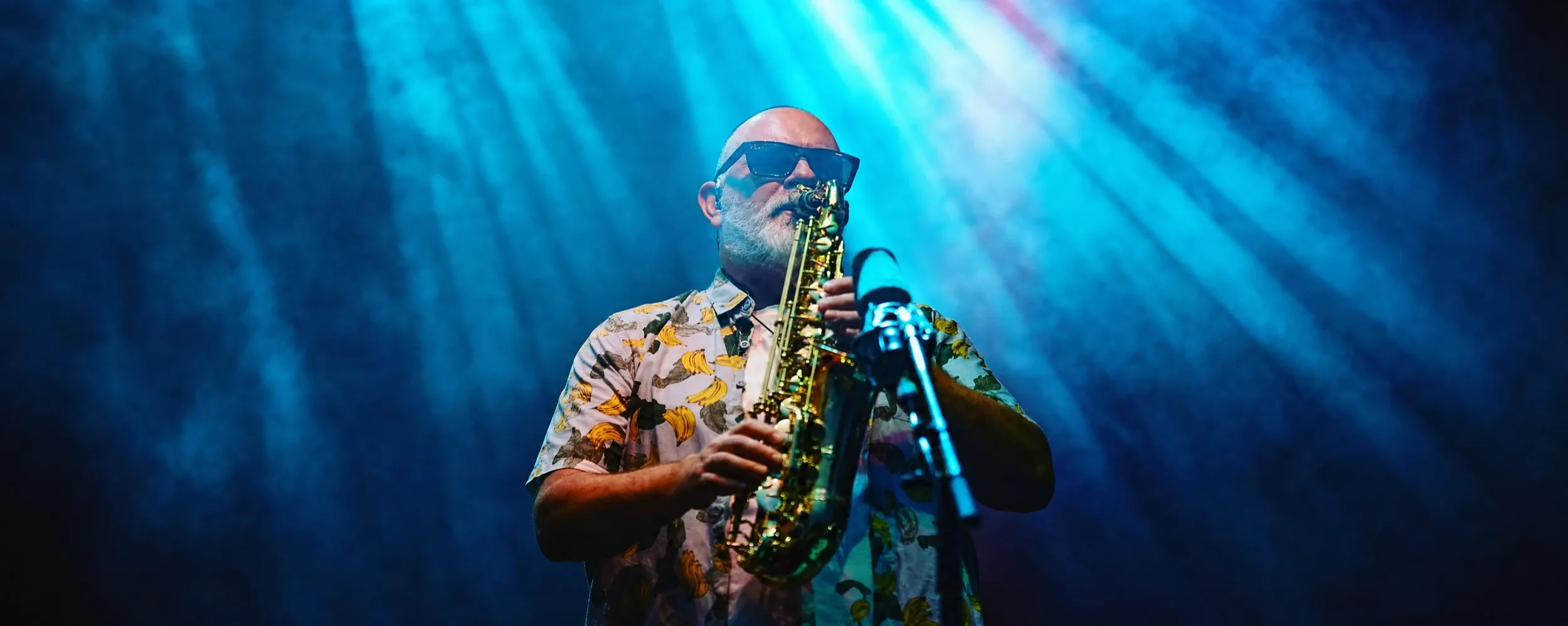 Scott Towers of Fat Freddy’s Drop - From the Stage to the Bay Learning Lunch